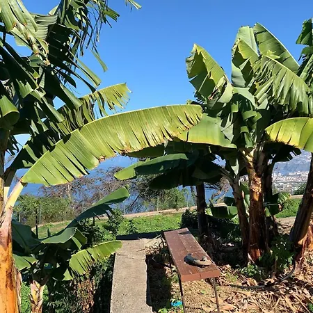 בית נופש Casas En Ecologica La Espiral, Naturaleza, Calma Y Vistas Al Mar, Icod el Alto