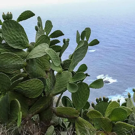 Ferienhaus Casas En Ecologica La Espiral, Naturaleza, Calma Y Vistas Al Mar,