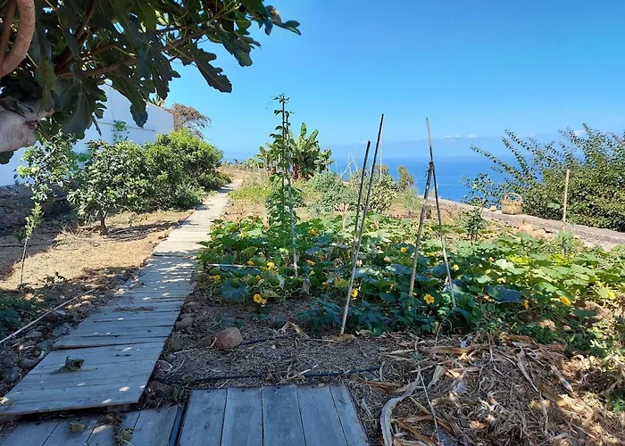 Casas En Ecológica El Biclen, Naturaleza, Calma Y Vistas Al Mar, Icod el Alto