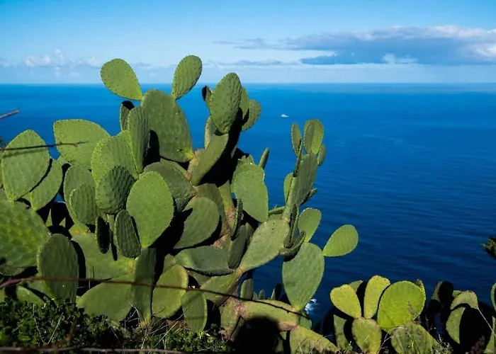 Casas En Ecológica El Biclen, Naturaleza, Calma Y Vistas Al Mar, Сasa de vacaciones Icod el Alto