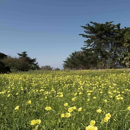 Casas En Ecologica La Espiral, Naturaleza, Calma Y Vistas Al Mar, بيت للعطل