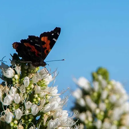 Casas En Ecologica La Espiral, Naturaleza, Calma Y Vistas Al Mar, * Icod el Alto
