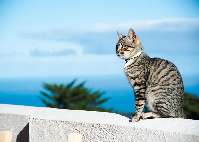 Tatil Evi Casas En Ecologica La Espiral, Naturaleza, Calma Y Vistas Al Mar, *