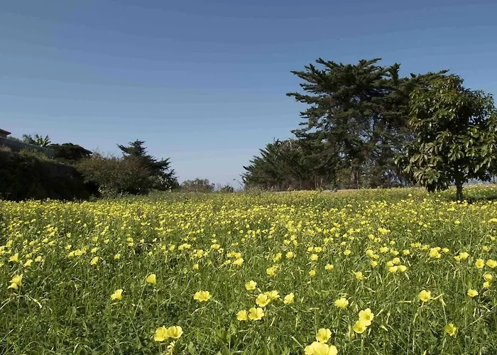 Casas En Ecologica La Espiral, Naturaleza, Calma Y Vistas Al Mar, Tatil Evi