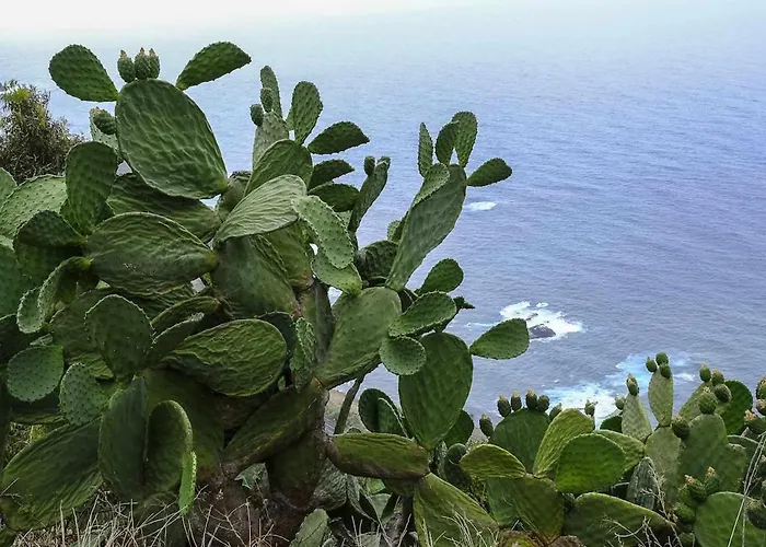 Tatil Evi Casas En Ecologica La Espiral, Naturaleza, Calma Y Vistas Al Mar,