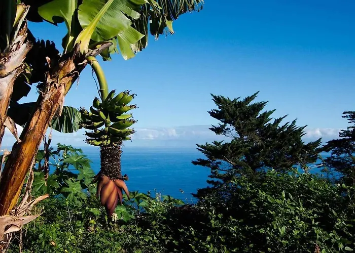 Tatil Evi Casas En Ecologica La Espiral, Naturaleza, Calma Y Vistas Al Mar, *