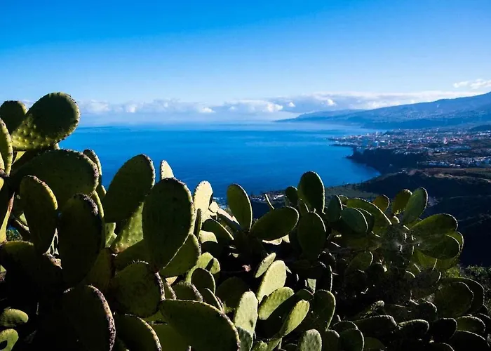 Casas En Ecologica La Espiral, Naturaleza, Calma Y Vistas Al Mar, Tatil Evi *
