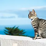 Σπίτι διακοπών Casas En Ecologica La Espiral, Naturaleza, Calma Y Vistas Al Mar, *